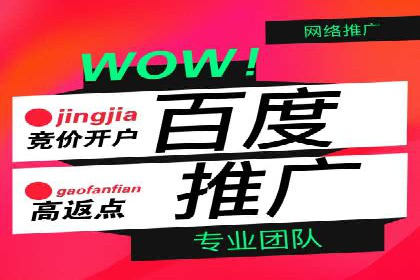 实战案例：如何利用百度推广拓展市场份额